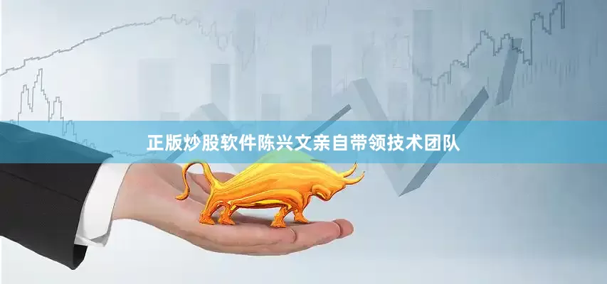 正版炒股软件陈兴文亲自带领技术团队