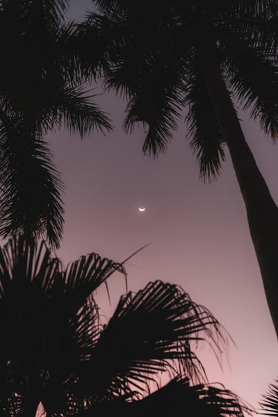 從鳥瞰到時空：占用網絡如何重塑智能駕駛感知的物理邊界